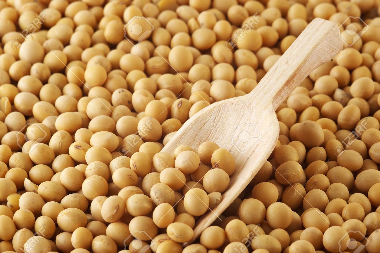 2313755-soybeans